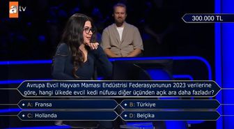 Avrupa Evcil Hayvan Maması Endüstrisi Federasyonunun 2023 verilerine göre, hangi ülkede evcil kedi nüfusu diğer üçünden açık ara daha fazladır?