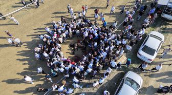 At Yarışında Çarpışma: 2 At Telef Oldu
