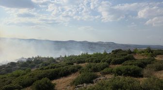 Kula'da orman yangınına müdahale