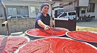 Sarıgöl'de kışlık salça mesaisi başladı