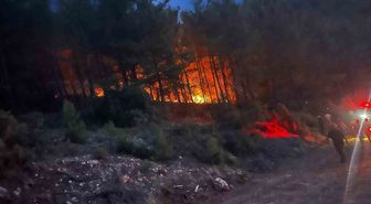 Alanya'da orman yangını kontrol altına alındı