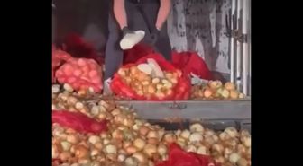 Soğan Yüklü TIR'da 150 Kilogram Metamfetamin Ele Geçirildi