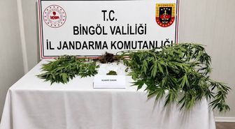 Bingöl'de Jandarma Operasyonu: 6 Aranan Zanlı Yakalandı, Uyuşturucu Ele Geçirildi