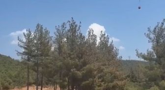 İslahiye'de Orman Yangını Kontrol Altına Alındı