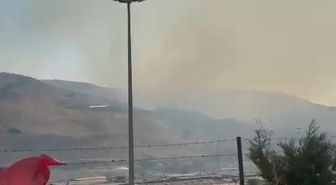 Hatay'da Orman Yangını: Ekipler Seferber Oldu