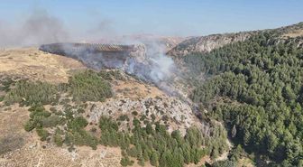 Hatay'da yangın: Orman ve zeytinlik alevler içinde