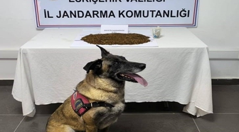 Eskişehir'de Bonzai Operasyonu: 361 Gram Ele Geçirildi, Şüpheli Tutuklandı