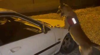 Bartın'da otomobilin kaputuna gizlenmiş uyuşturucu