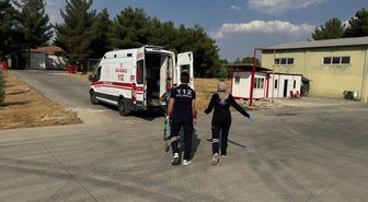 Şirvan'da Beyin Kanaması Hava Ambulansıyla Kurtarıldı