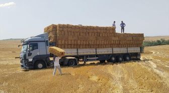 Çiftçiden Yangın Bölgesine 1200 Balya Saman