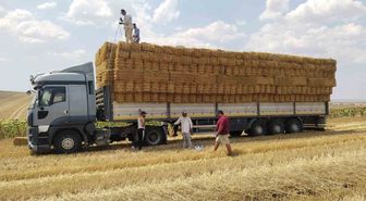 Genç çiftçiden yangın bölgesine 1200 balya saman desteği