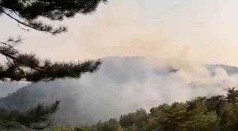 Göynük'te Orman Yangını: 3 Helikopterle Müdahale