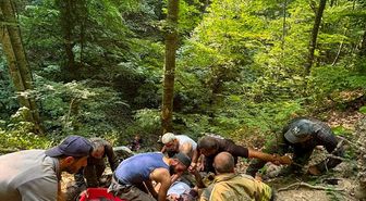 İnegöl'de traktör uçuruma yuvarlandı: 1 yaralı