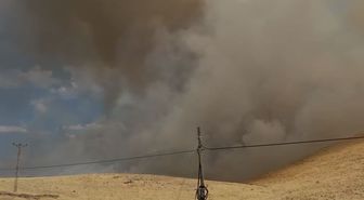 Elazığ'da örtü yangını: Rüzgar alevleri büyüttü