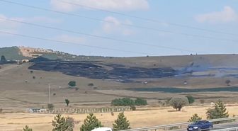 Kütahya'da Otluk Yangını Bekçi Kulübesine Sıçradı