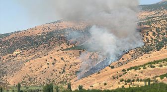 Malatya'da Tarım Arazisinden Ormana Sıçrayan Yangın Kontrol Altına Alındı