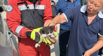 Muğla'da Otomobil Motoruna Sıkışan Kedi İtfaiye Ekipleri Tarafından Kurtarıldı