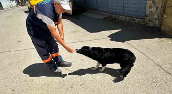 Temizlik Görevlisi Yusuf Başaran, Sahibini Kaybeden Köpek 'Dayı'ya 2 Yıldır Gözü Gibi Bakıyor