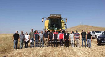 Sivas'ta 5 Yeni Buğday Çeşidinin İlk Hasadı Yapıldı