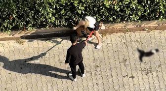 Pitbull Kediyi Parçaladı: 95 Bin TL Ceza