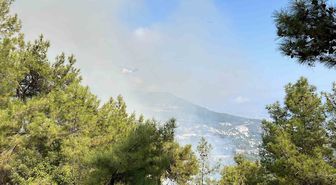 Alanya ve Konyaaltı'nda Eş Zamanlı Orman Yangınlarına Müdahale