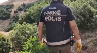 Bingöl'de Uyuşturucu Operasyonu: 3 Tutuklama