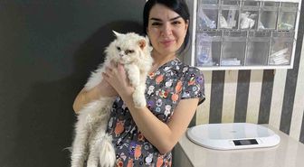 Tatilde Evcil Hayvanlar İçin Veteriner Hekimden Kritik Uyarılar