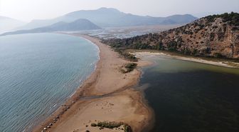 Tuba Caretta'nın 25 Bin Kilometrelik Yolculuğu