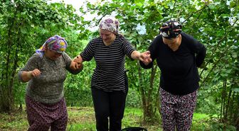 Trabzon'da Fındık Hasadı Kemençe ve Horonla Başladı