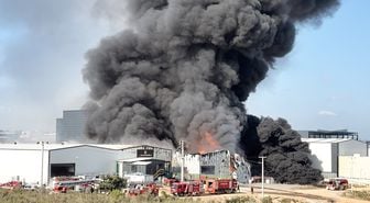 Kocaeli'de kimya fabrikasında yangın: 2 işçi yaralandı, 2 at telef oldu