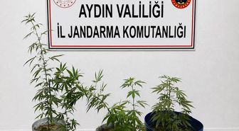Kuşadası'nda Uyuşturucu Operasyonu: 3 Gözaltı