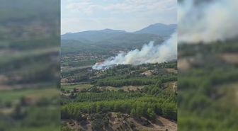 Muğla Seydikemer'de Orman Yangını