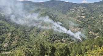 Gerze'de Orman Yangını Kontrol Altında