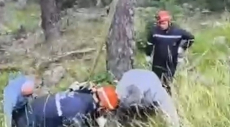 Bolu'da Uçuruma Yuvarlanan İnek Vinçle Kurtarıldı