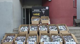 Adana'da 283 Bin Sentetik Ecza Ele Geçirildi, 1 Tutuklama