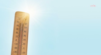 Almanya'da aşırı sıcaklar: 12 bin 500 kişi hayatını kaybetti