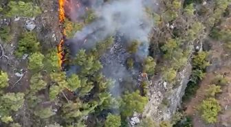 Kemer'de Orman Yangını: Havadan ve Karadan Müdahale Başladı