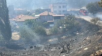 Edremit'te orman yangını: Ekipler havadan ve karadan müdahale ediyor