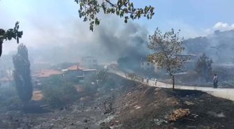 Havran'da Orman Yangınına Müdahale Sürüyor: 7-8 Vatandaş Tahliye Edildi