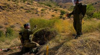 Hakkari'de Mayın Temizleme Çalışmaları Devam Ediyor