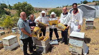Karadeniz arısında verim ve varroa direnci için ıslah projesi