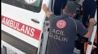 Cide'de Akıntıya Kapılan Aile Cankurtaran Sayesinde Kurtarıldı