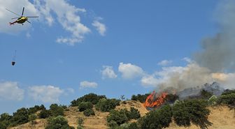 Turgutlu'da Orman Yangını Kontrol Altına Alındı