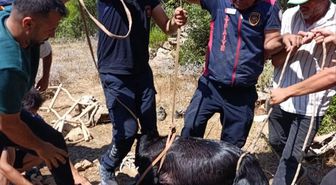 Hatay'da Su Kuyusuna Düşen Keçi İtfaiye ve Vatandaşın Çalışmasıyla Kurtarıldı