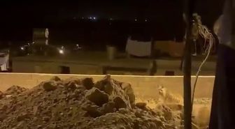 Adıyaman'da Köye İnen Çizgili Sırtlan Cep Telefonuyla Görüntülendi
