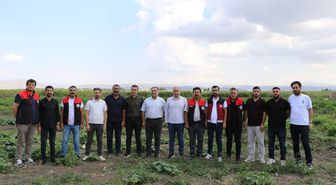 Ağrı'da yüzde 75 hibeli fide desteğiyle 30 dönümlük bostanda ürün çeşitliliği