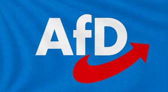 AfD'ye karşı 620 bin euroluk stratejik oy kampanyası