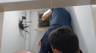 Amasya'da Mahsur Kalan Kedi İtfaiye Ekiplerinin Uzun Uğraşları Sonucu Kurtarıldı