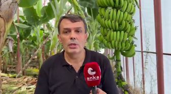 Mersinli üreticilerden ithal muza yüzde 145,8 gümrük vergisi talebi