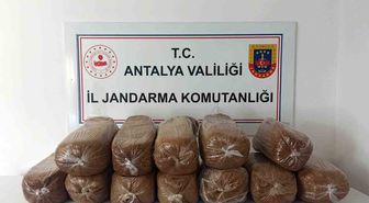 Antalya'da Kaçak Tütün Operasyonu: 785 Kilogram Ele Geçirildi